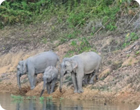 2 Days 1 Night. Best of Islands and Nature Lake