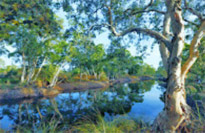 Surin Island and Ko Prathong 2 Days 1 Night