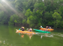 Surin Island and Ko Prathong 2 Days 1 Night