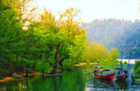 Surin Island and Ko Prathong 2 Days 1 Night