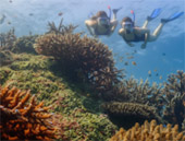 One Day Special Koh Surin at Secret