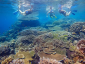 One Day Special Koh Surin at Secret