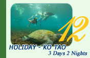 Holiday - Ko Tao 3 Days 2 Nights