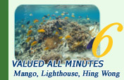 Valued All Minutes 3 Bays Mango, Lighthouse and Hing Wong Bay