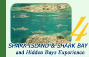 Shark Island and Shark Bay and Hidden Bays Experience