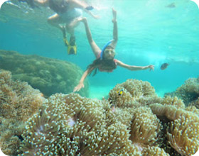 Holiday - Ko Tao 3 Days 2 Nights