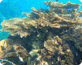 Shark Island and Shark Bay and Hidden Bays Experience