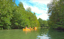 Koh Yao Yai Island 2 Days 1 Night