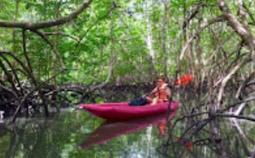 Koh Yao Yai Island 2 Days 1 Night