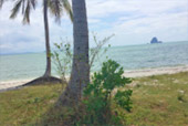Koh Yao Yai Around On Land One Day