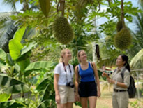 Things to Do & See : Ko Yao Yai