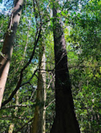 Long and Hong Island: Sea in Vovies One Day Tour