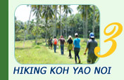 Hiking Koh Yao Noi