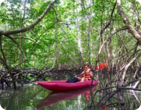 3 Days 2 Nigths Twin Long Islands