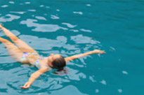 Bamboo Phi Phi and Camel Rock